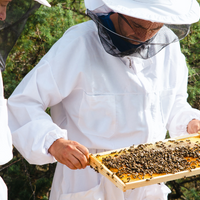 Is Manuka Honey Raw? A complete Guide - Beekeeper